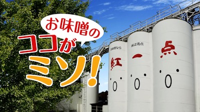 紅一点201712新CMB